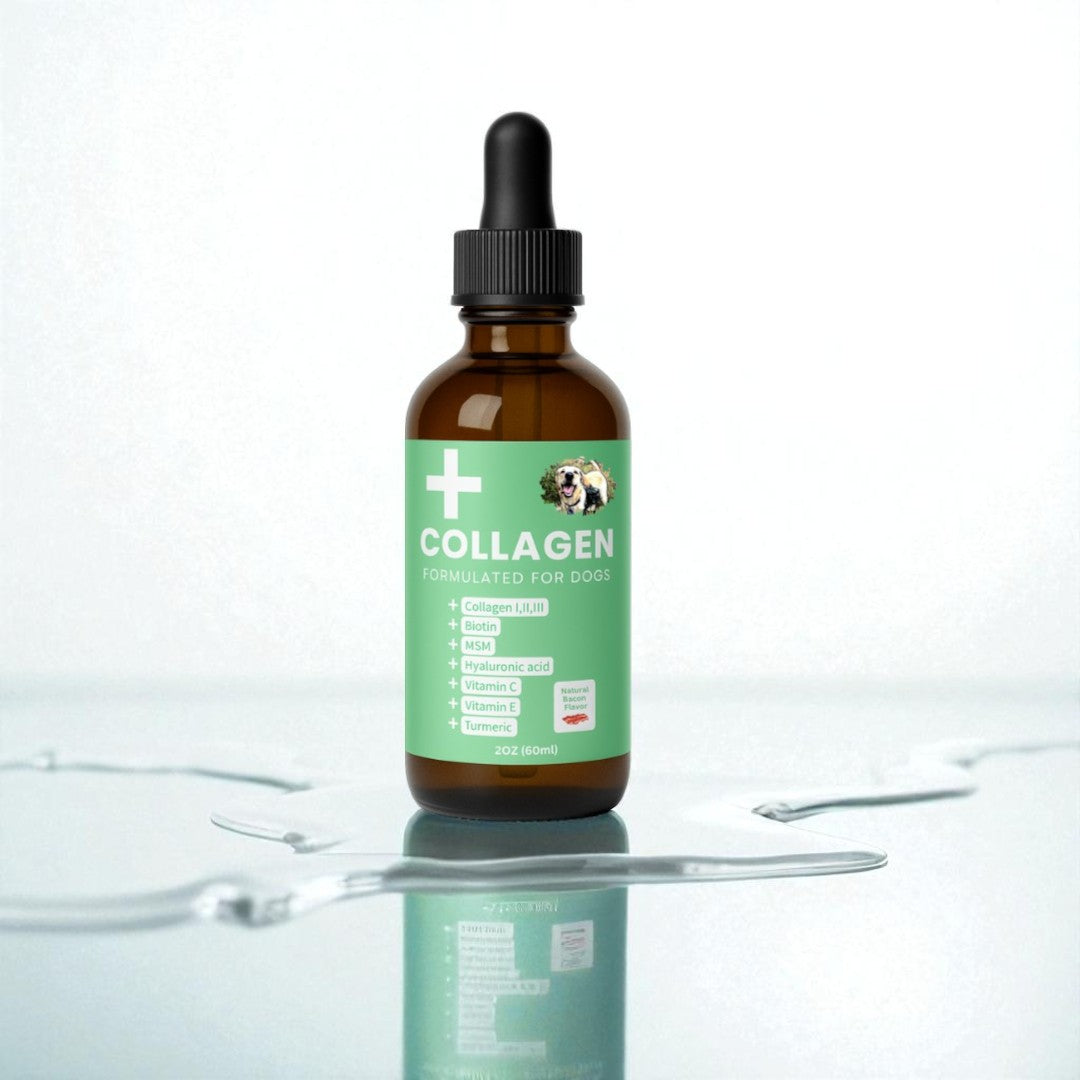 Specialized Collagen for Dogs