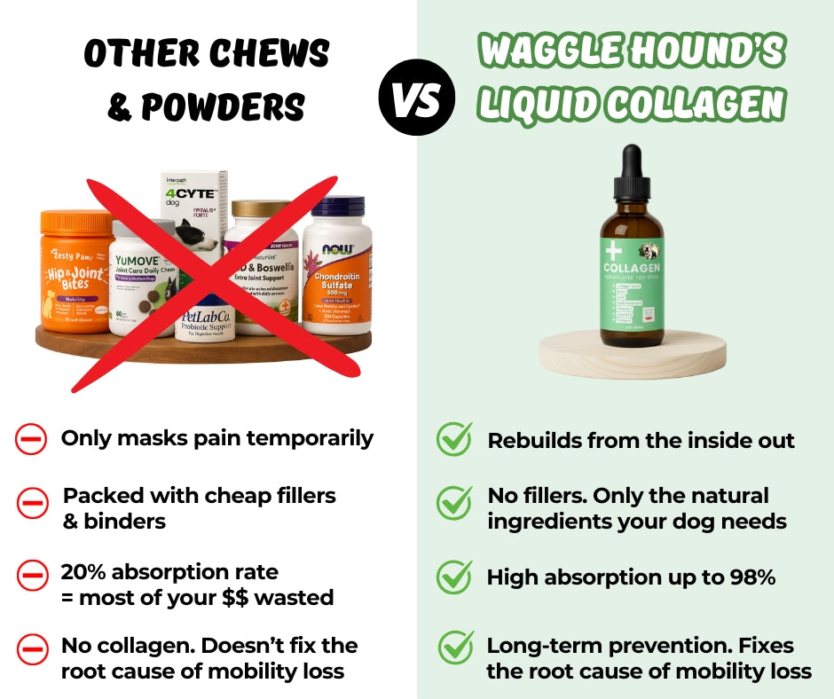 Waggle Hounds® 9 in 1 Premium Liquid Collagen