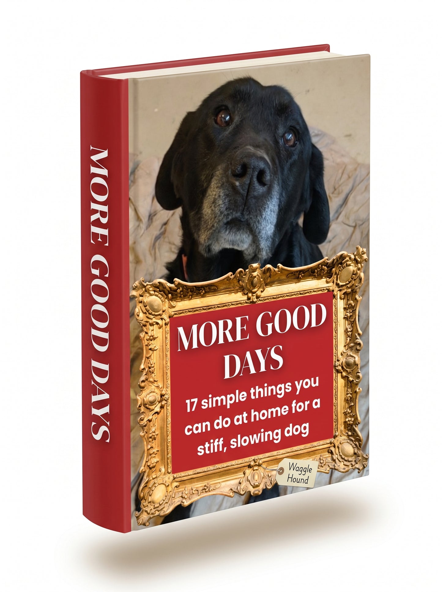 More Good Days