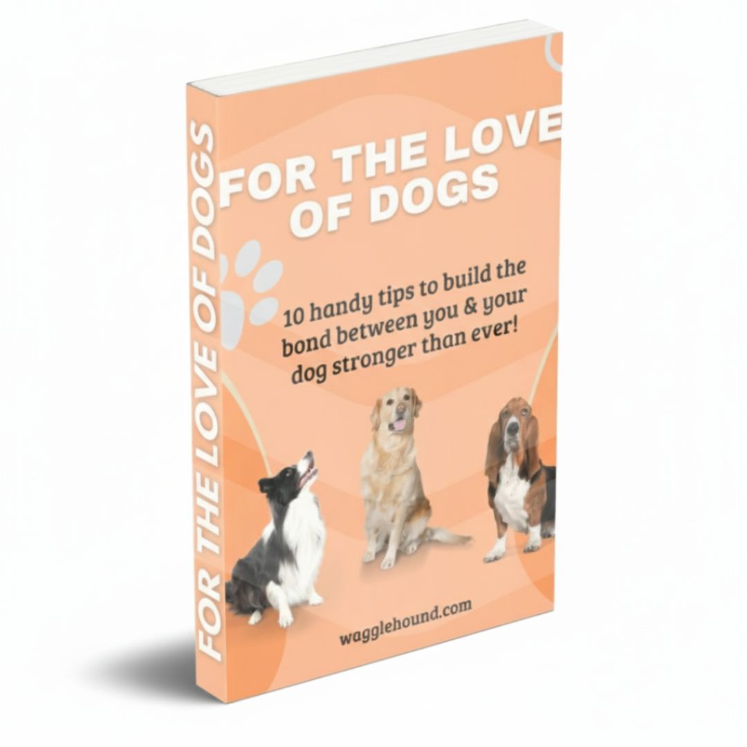 For The Love of Dogs