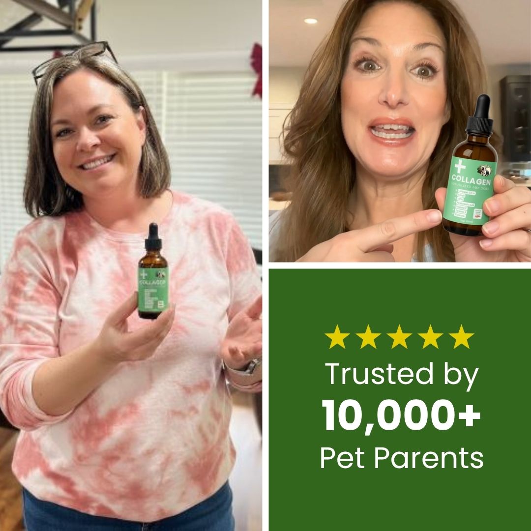 Waggle Hounds® 9 in 1 Premium Liquid Collagen