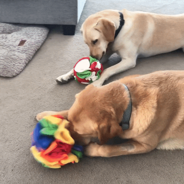 Snuffle Ball™