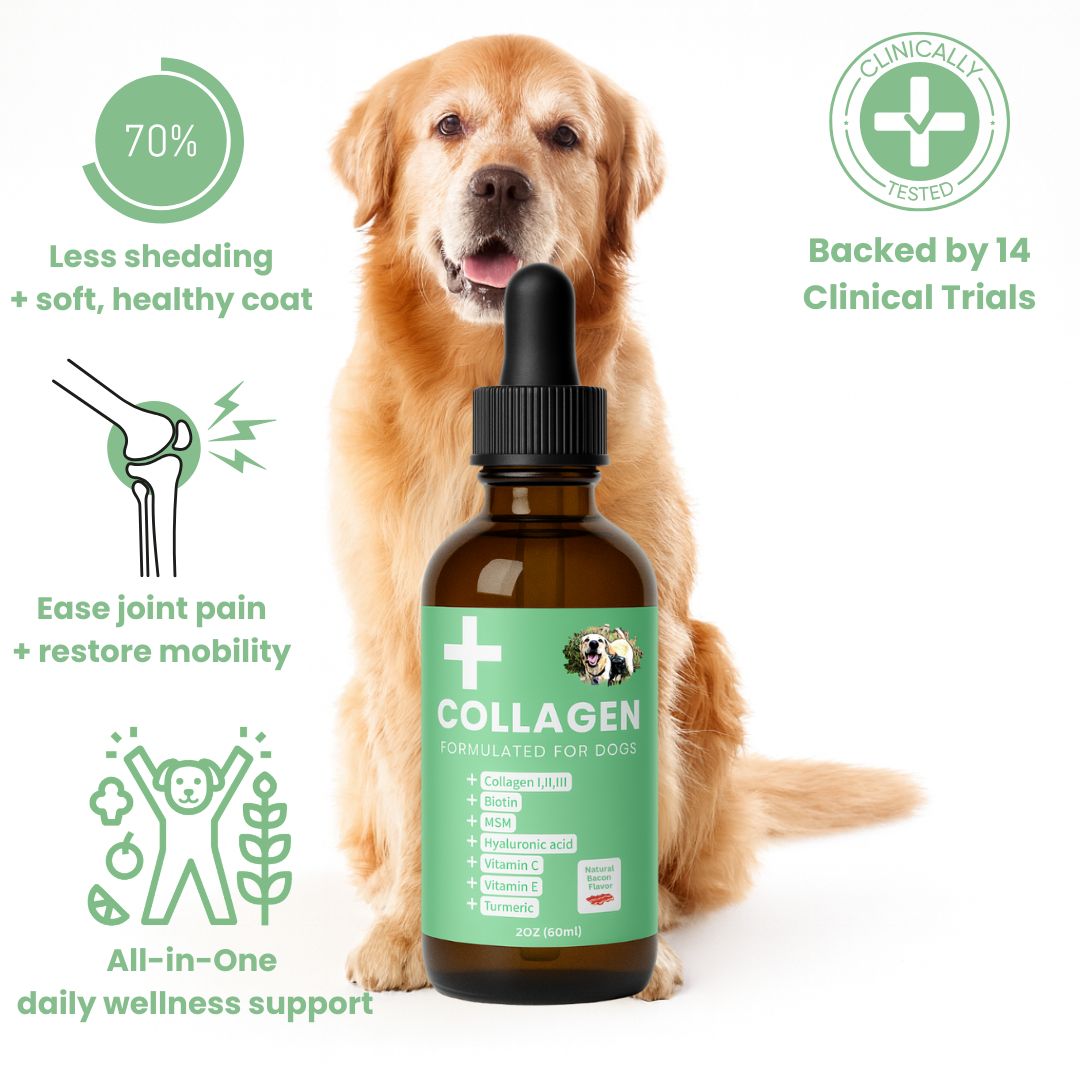 Specialized Collagen for Dogs