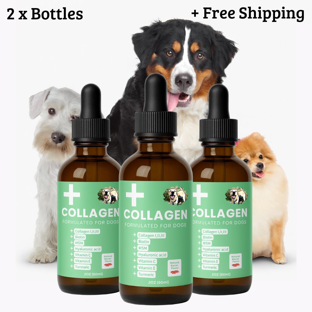 Specialized Collagen for Dogs