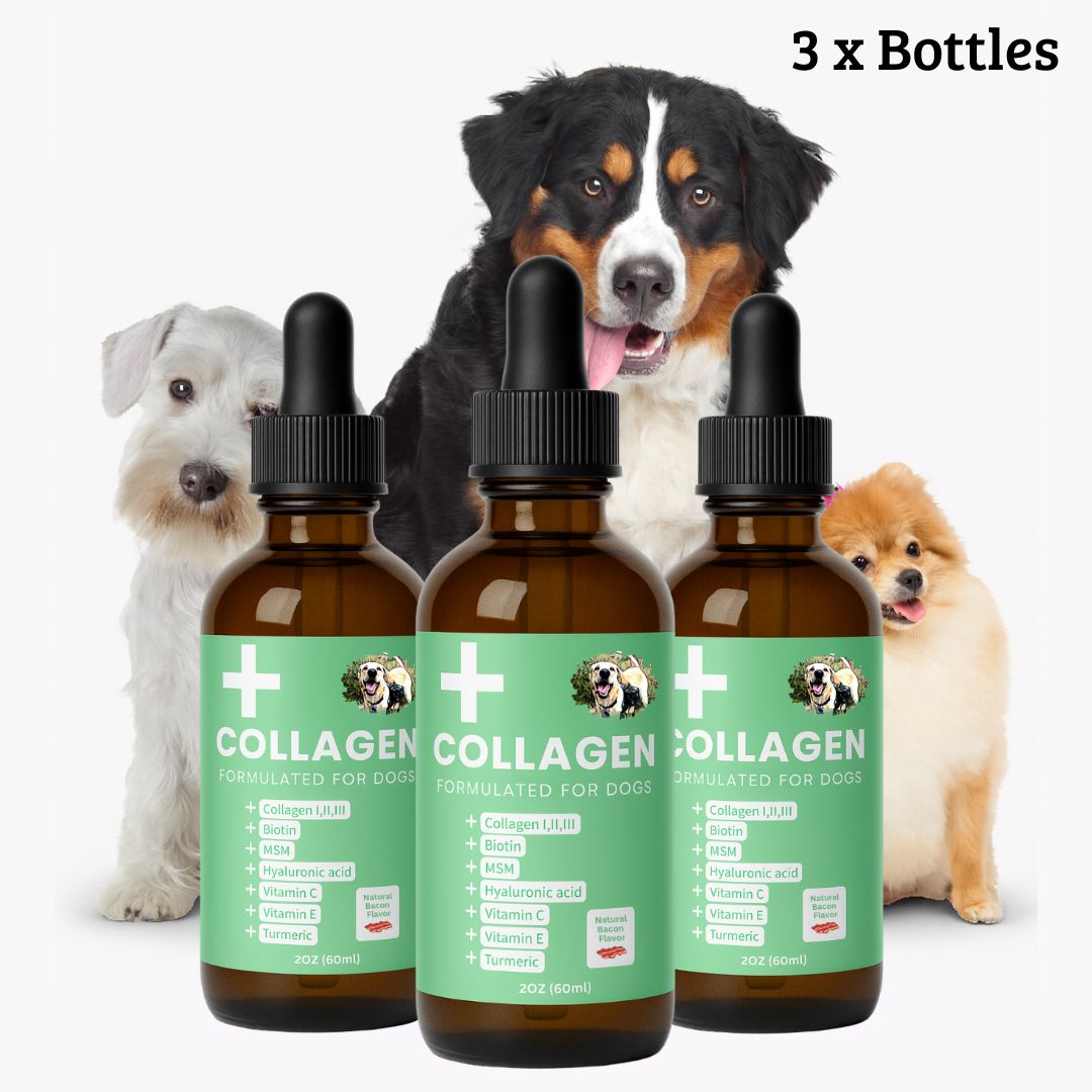 Specialized Collagen for Dogs