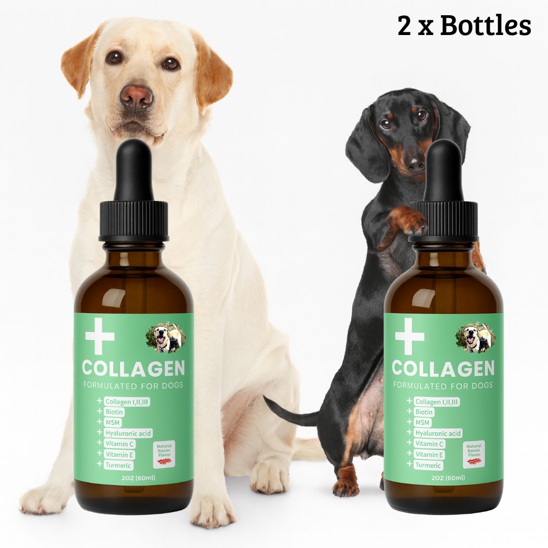 Specialized Collagen for Dogs