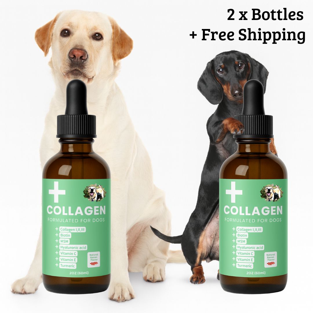 Specialized Collagen for Dogs
