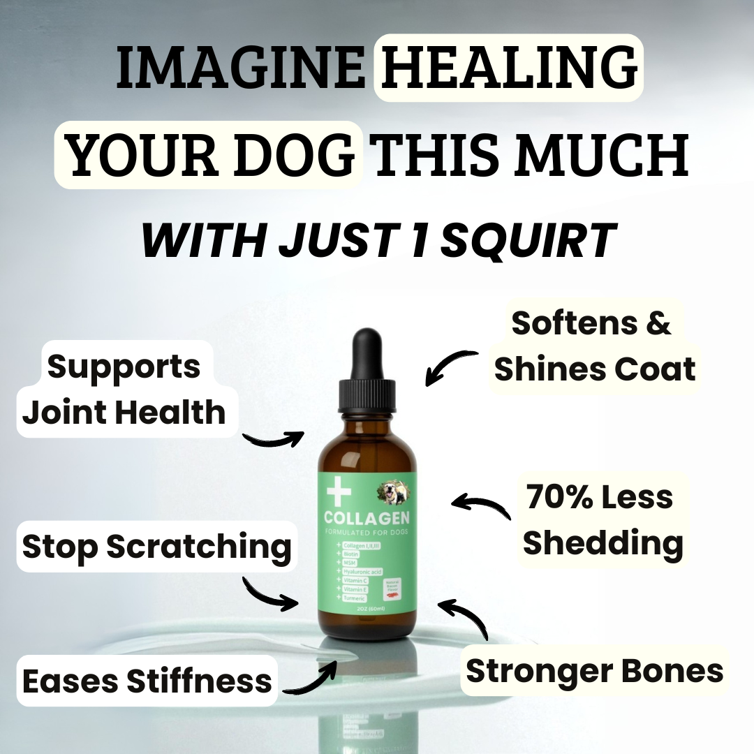 Specialized Collagen for Dogs