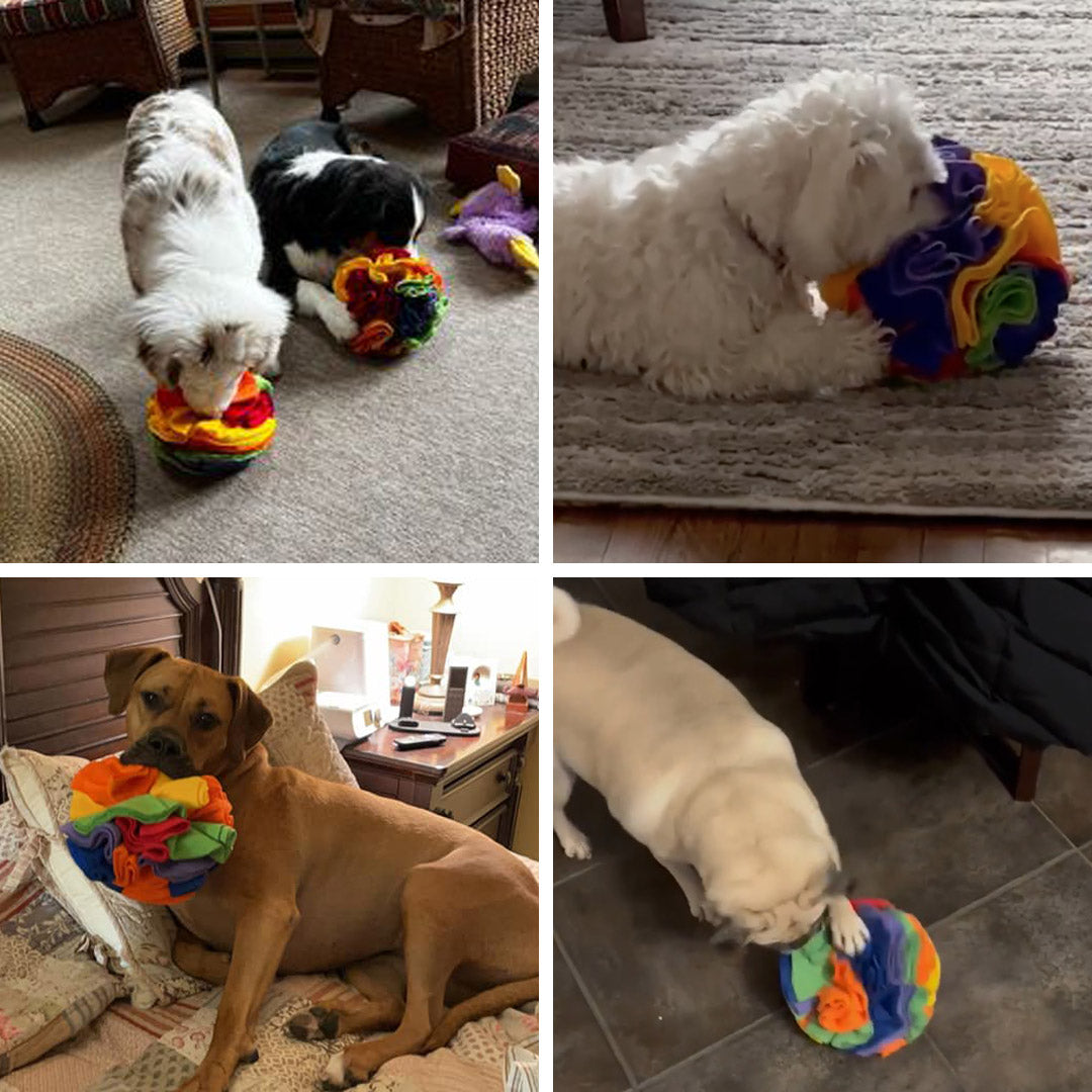 Snuffle Ball™