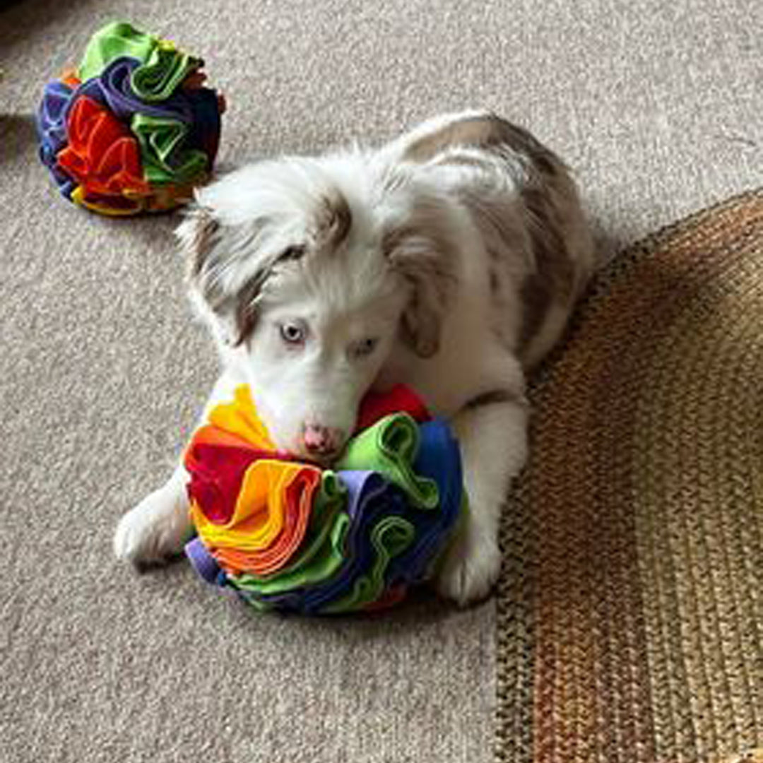Snuffle Ball™