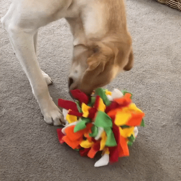 The Waggle Ball™