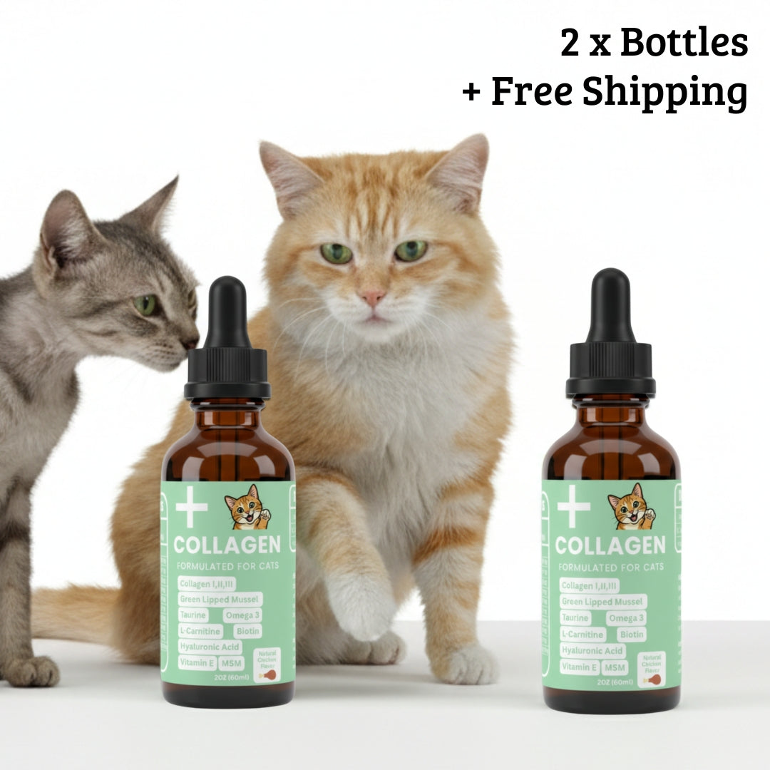 Premium Collagen Helps Your Cat Stay Healthy & Pain-Free