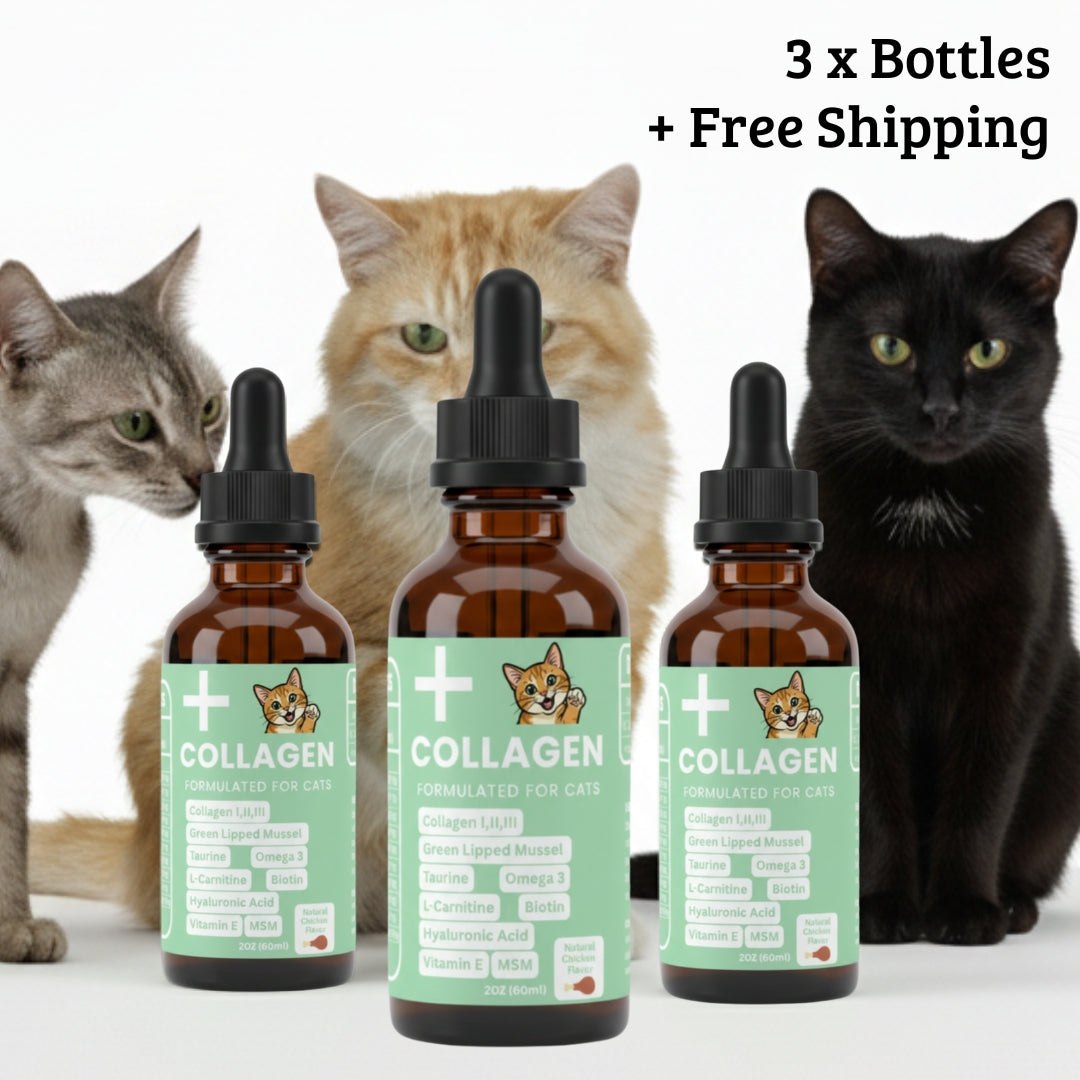 Premium Collagen Helps Your Cat Stay Healthy & Pain-Free