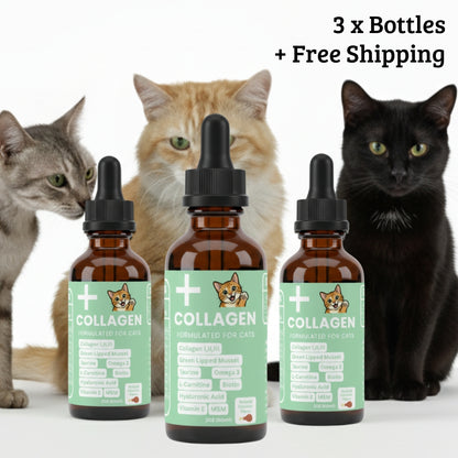 Premium Collagen Helps Your Cat Stay Healthy & Pain-Free