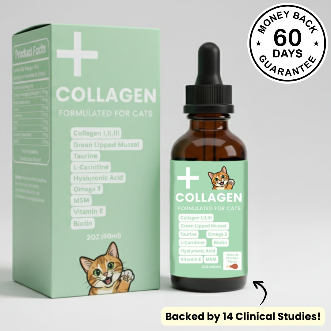 Premium Collagen Helps Your Cat Stay Healthy & Pain-Free