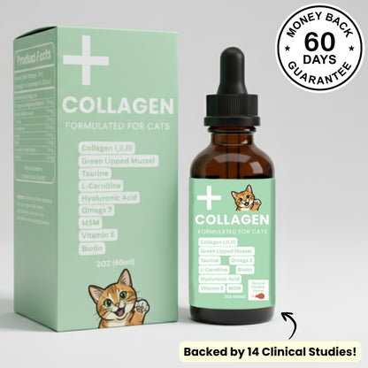 Premium Collagen Helps Your Cat Stay Healthy & Pain-Free