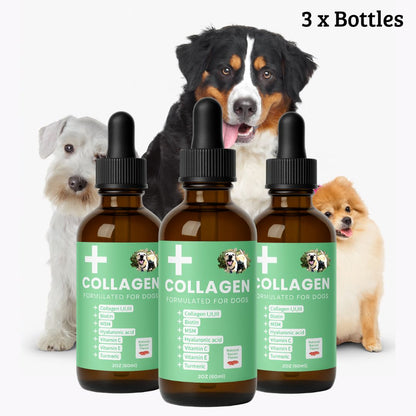 Specialized Collagen for Dogs