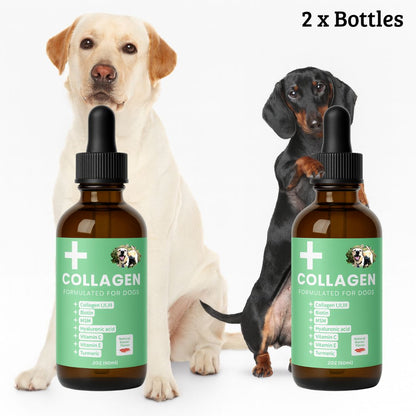 Specialized Collagen for Dogs