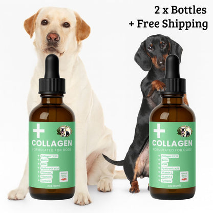 Specialized Collagen for Dogs