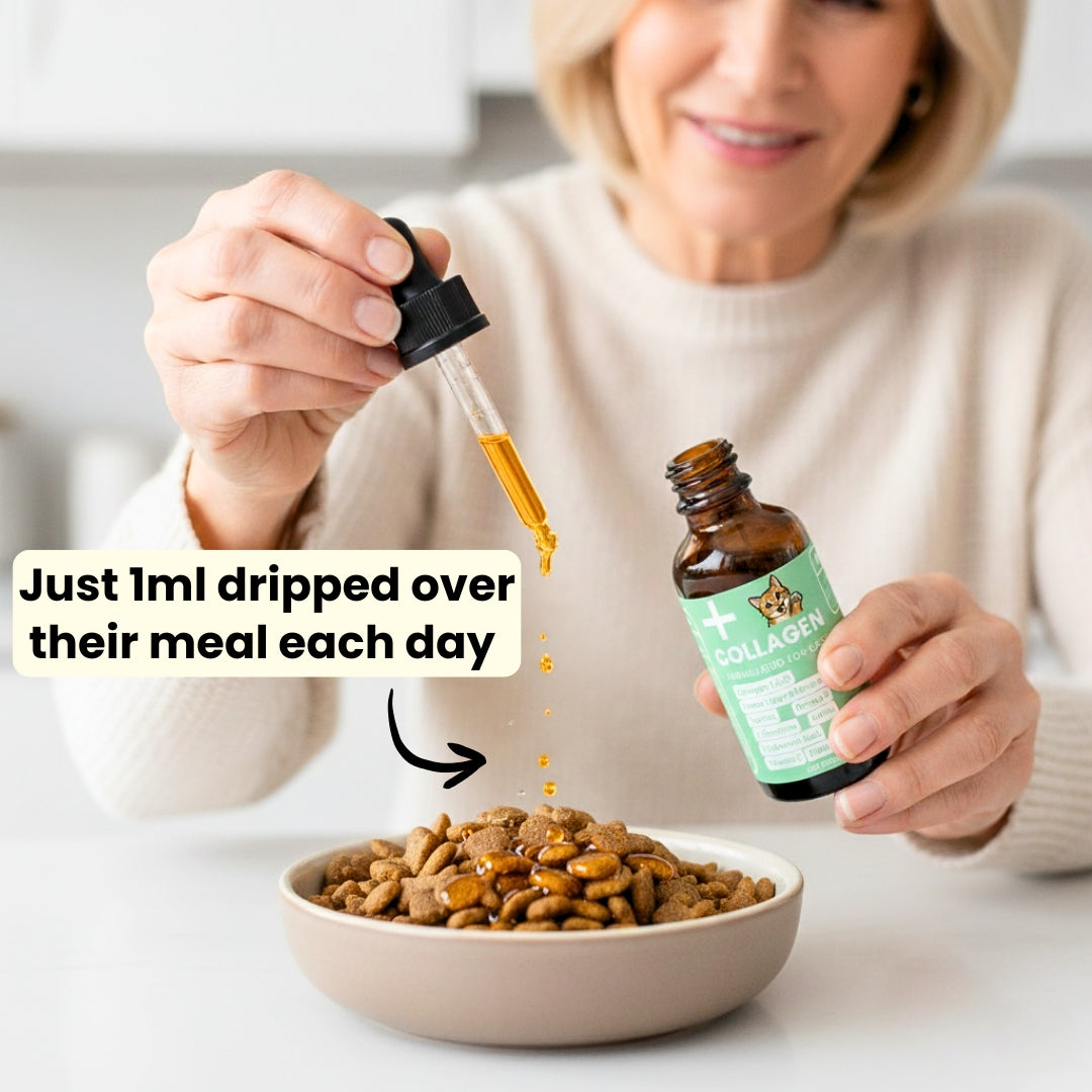 Premium Collagen Helps Your Cat Stay Healthy & Pain-Free