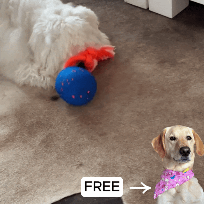 PawsPal 2.0® - The Final Evolution