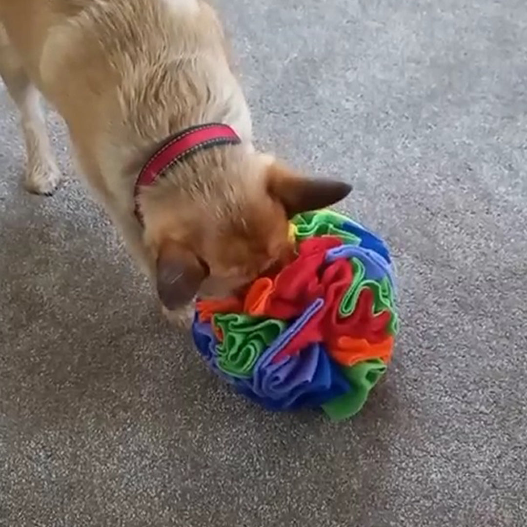 Snuffle Ball™ – Waggle Hound