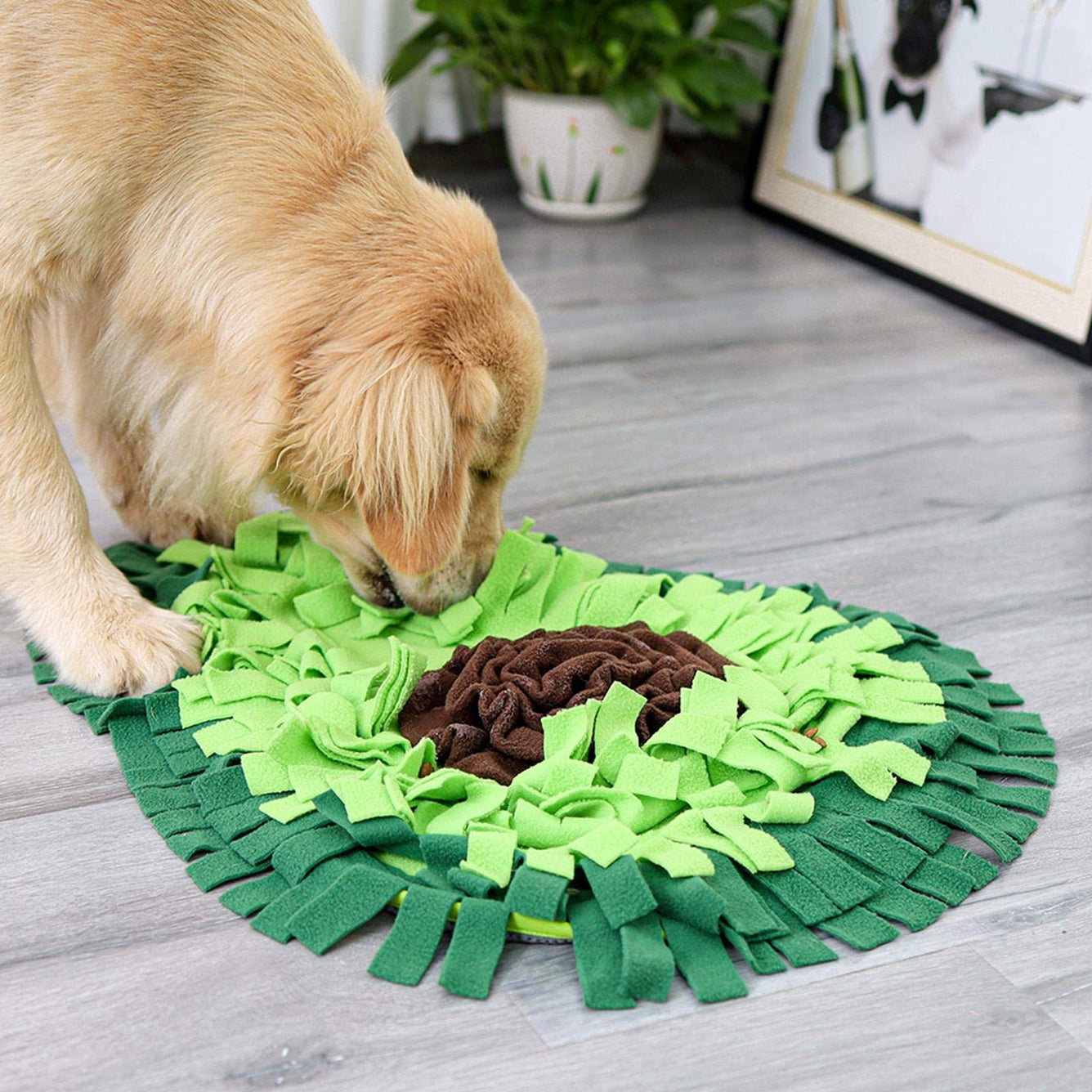 Injoya Avocado Snuffle Mat For Dog - Scottsdale, AZ - Fetching Dog