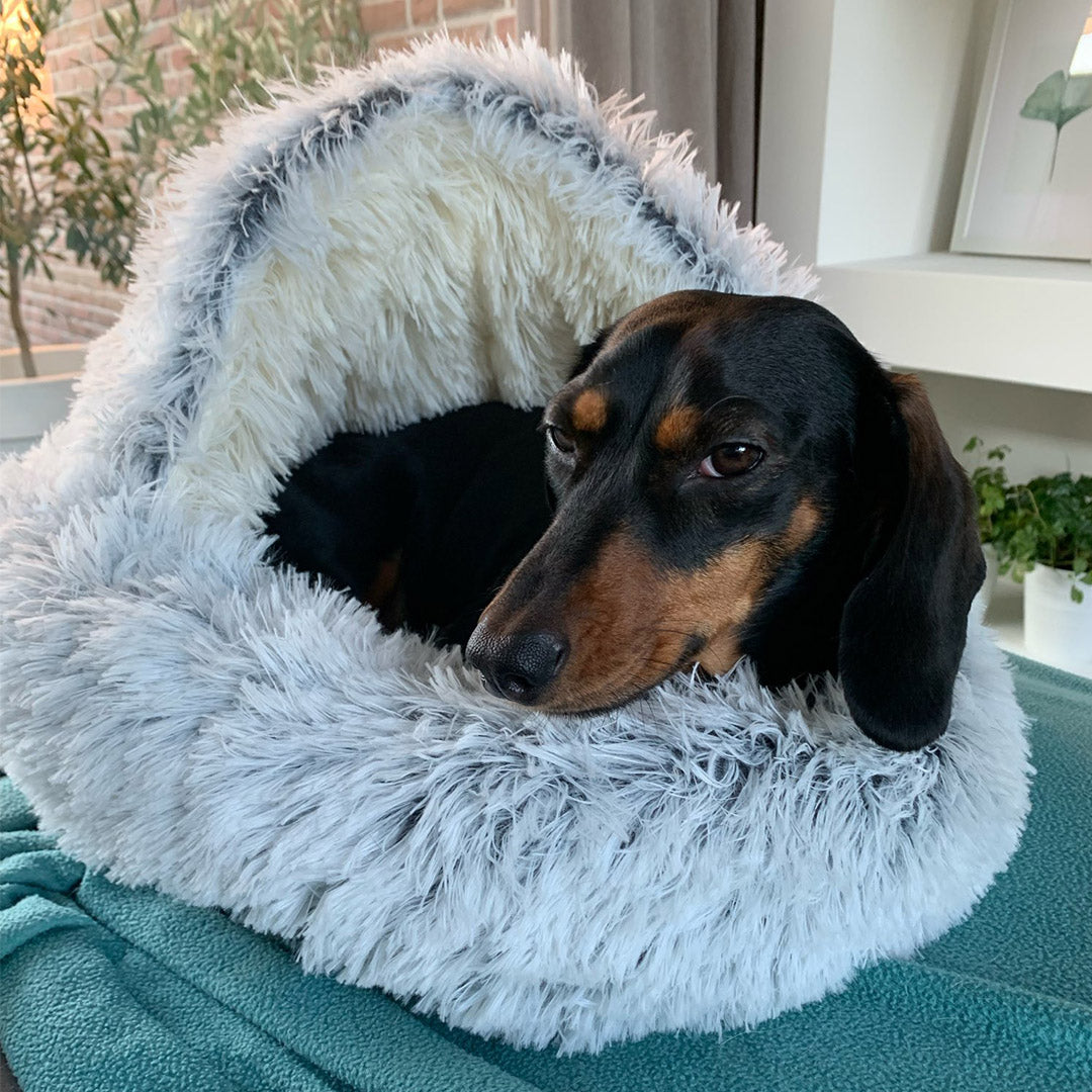 CozyNook™ - #1 Dog Bed